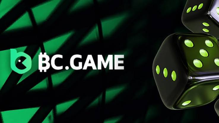 Exploring the Excitement of Hash.Game Casino by BC.Game